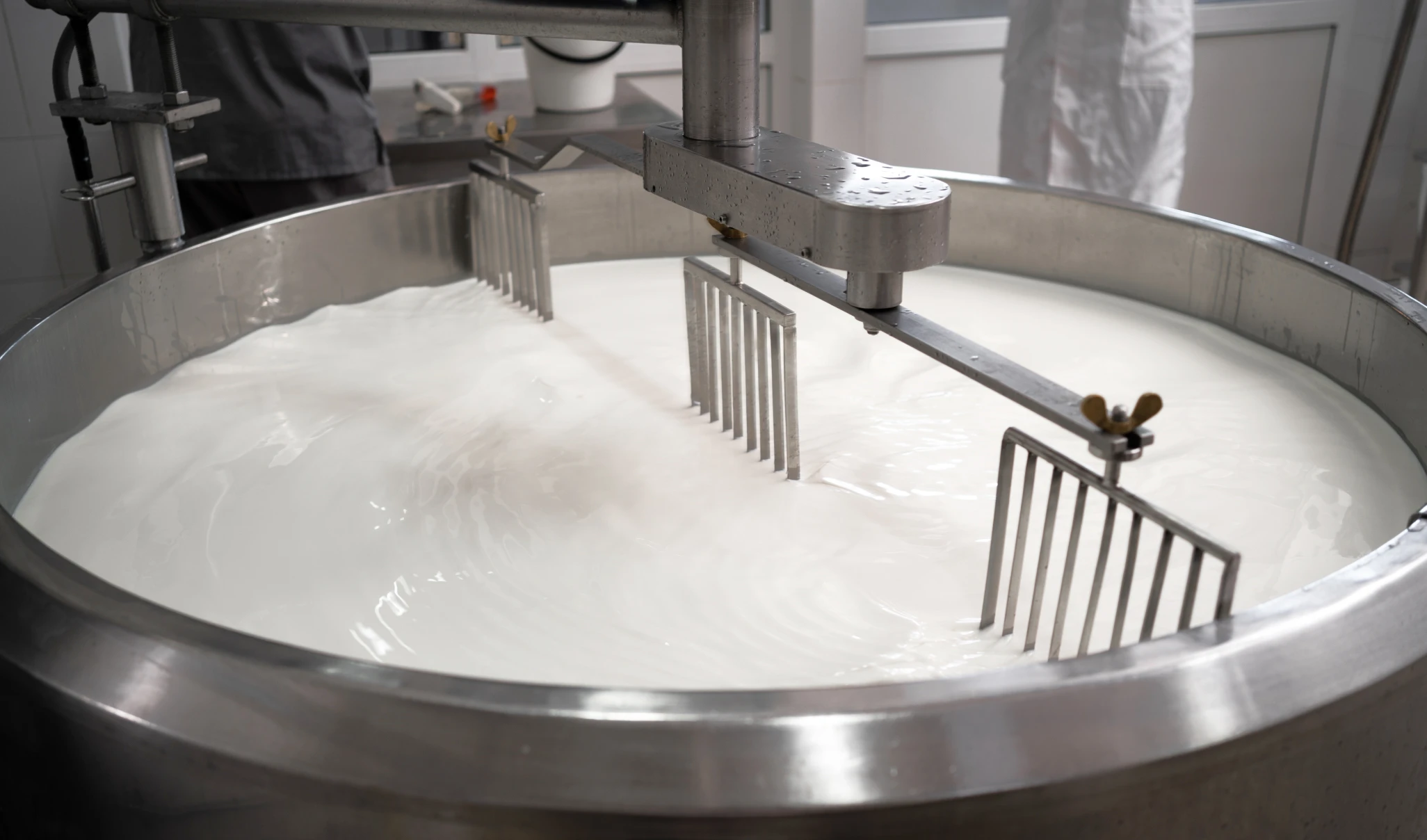 процесс производства молока